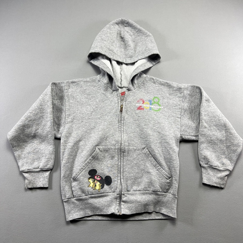 Disney Parks By Hanes Ecosmart Hoodie Youth Small Gray Graphic Print Cotton
